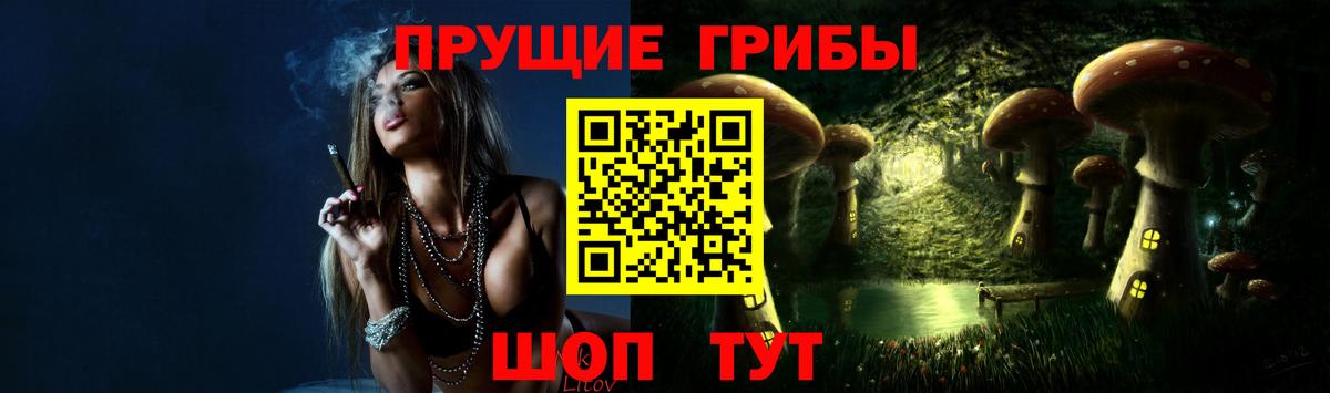 Псилоцибиновые грибы Cubensis  Вход с VPN  Псилоцибиновые грибы мицелий  Белая Калитва 